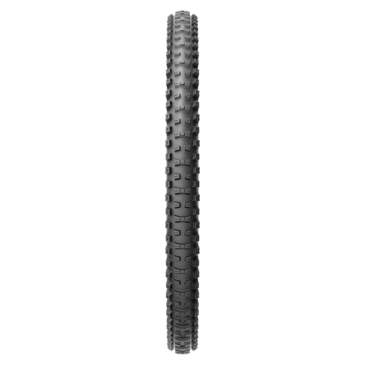 Pirelli Scorpion™ Race Enduro T
